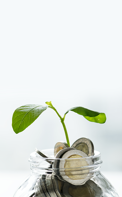 Fund Of Funds 428X692